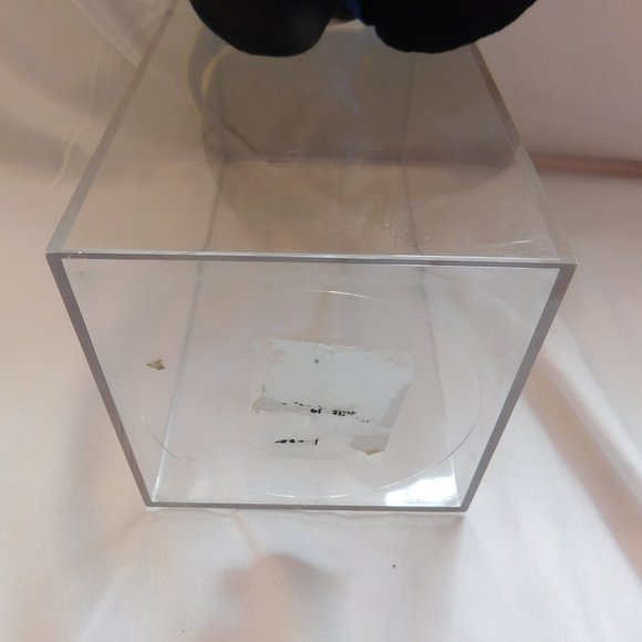 Winnie the Pooh July 4th 2000 Walt Disney World Bean Bag Stuffed Animal - Picture 10 of 10